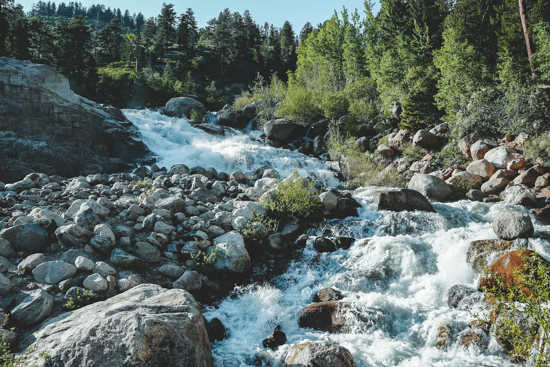 Estes Park in the Summer
