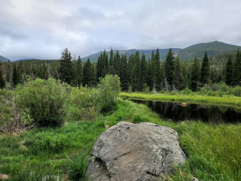 A hiking area in Estes Park